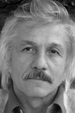 Михай Волонтир