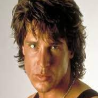 Дэвид Брэдли