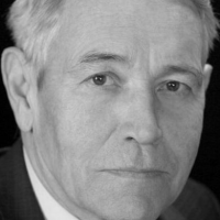 Владимир Земляникин