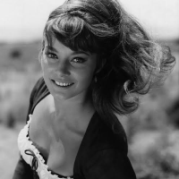 Хельга Зоммерфельд