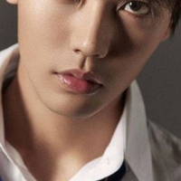 Линь Янь Цзюнь