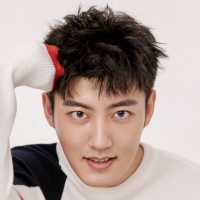 Дин Гуань Чжун