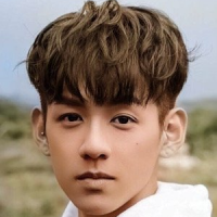 Хун Вэй Чжэ