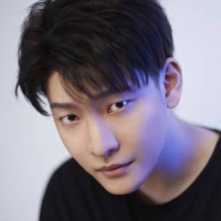 Ли Цзюнь Тин