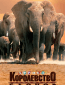 Африка – королевство слонов