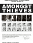 Amongst Thieves