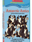 Antarctic Antics