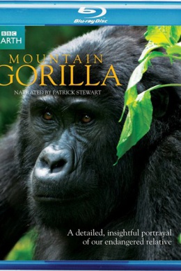 Mountain Gorilla (многосерийный)