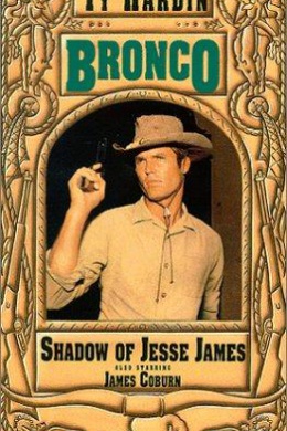 Бронко (сериал)