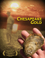 Chesapeake Gold