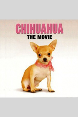 Chihuahua: The Movie