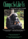Шимпанзе: Такие же как мы