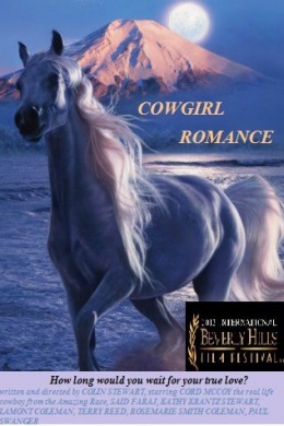 Cowgirl&#039;s Christmas Romance