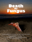 Death by Fungus