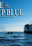 Dive the Deep Blue