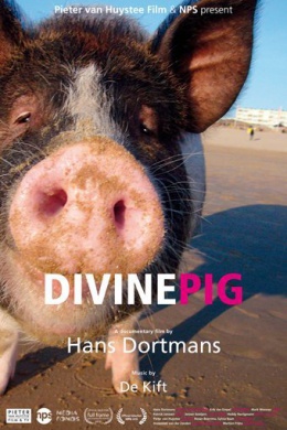 Divine Pig