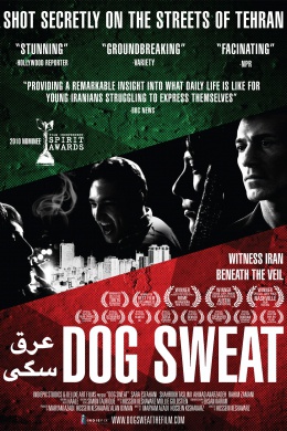 Dog Sweat