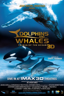 Дельфины и киты: обитатели океана 3D