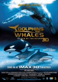 Дельфины и киты: обитатели океана 3D