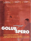 Golub