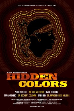 Hidden Colors