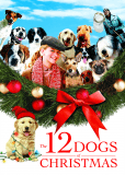 12 рождественских собак