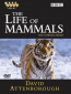 BBC: Жизнь млекопитающих (сериал)