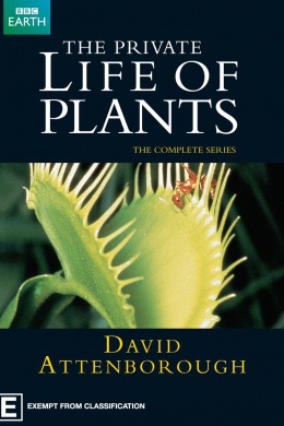 BBC: Невидимая жизнь растений (многосерийный)