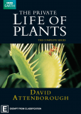 BBC: Невидимая жизнь растений (многосерийный)