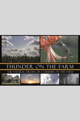 Thunder on the Farm