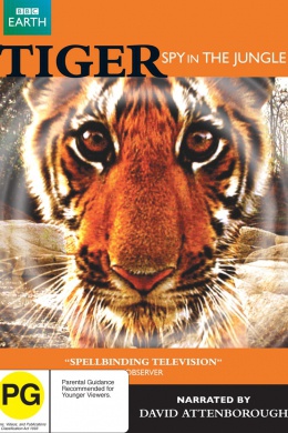 BBC: Тигр – Шпион джунглей (многосерийный)