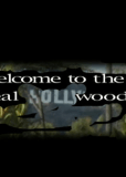 Welcome to the Real Hollywood