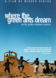 Там, где мечтают зеленые муравьи