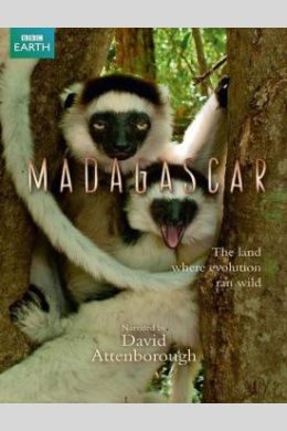 BBC: Мадагаскар (многосерийный)