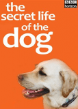 BBC: Секреты собак