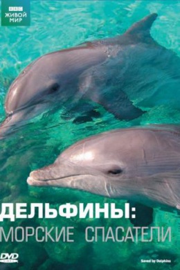 Дельфины: Морские спасатели