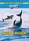 Discovery: Акулы в воздухе