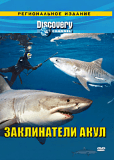 Discovery: Заклинатели акул