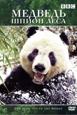 Медведь: Шпион леса