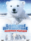 Большое путешествие полярных медведей