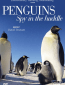 Пингвины. Шпион в стае (многосерийный)