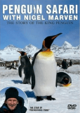 Пингвинье сафари