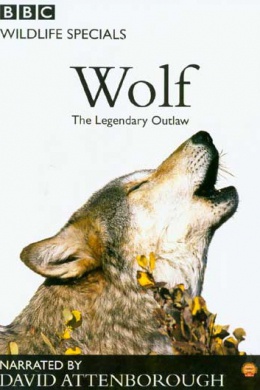 Wolf: The Legendary Outlaw