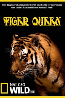 Королева тигров