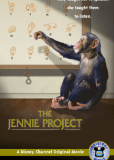 Проект Дженни