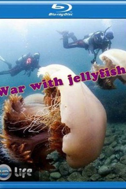 Война с медузами