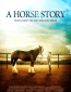 История одной лошадки