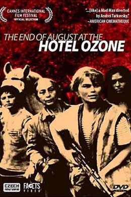 Конец августа в отеле Озон