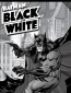Бэтмен: Чёрное и белое (сериал)