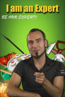 I Am an Expert (сериал)